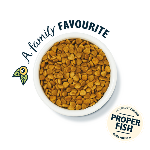 White Fish with Salmon Dry Food (4 x 800g)