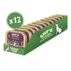 Senior Recipe for Older Dogs (12 x 150g)