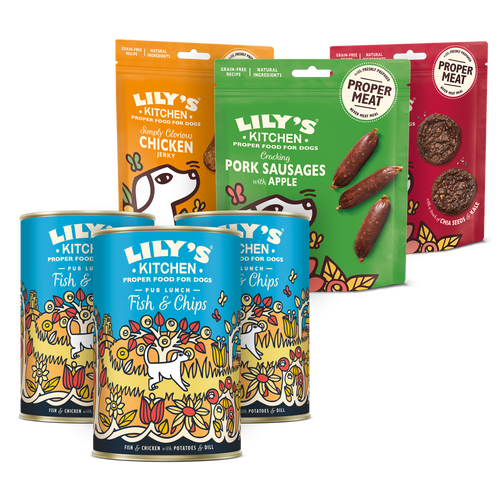 Cheap lily's kitchen dog food clearance
