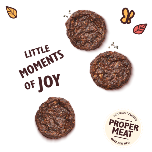 The Best Ever Beef Mini Burgers