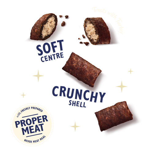Festive Treats with Turkey (60g)