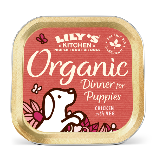 Lily's kitchen dog food offers shop