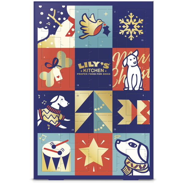Dog themed advent calendar online