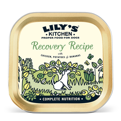 Recovery Recipe For Dogs 150g Lily S Kitchen