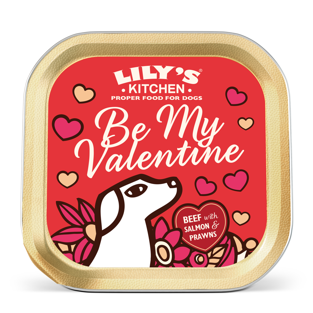 sensitive puppy food