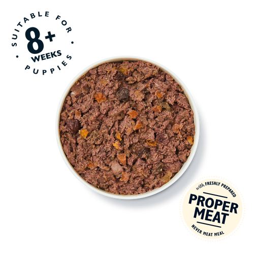 Turkey & Duck Puppy Recipe (150g)