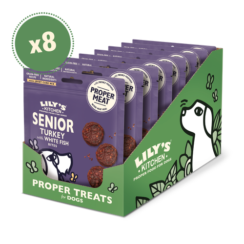 Lily's kitchen senior dog food cheap
