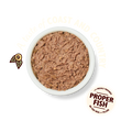 Salmon & Chicken Paté