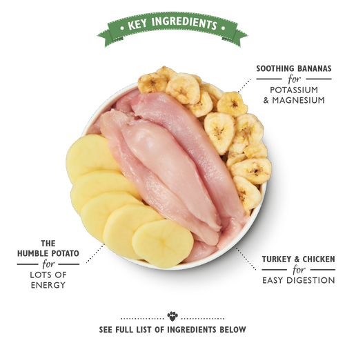 Recovery Recipe (150g)