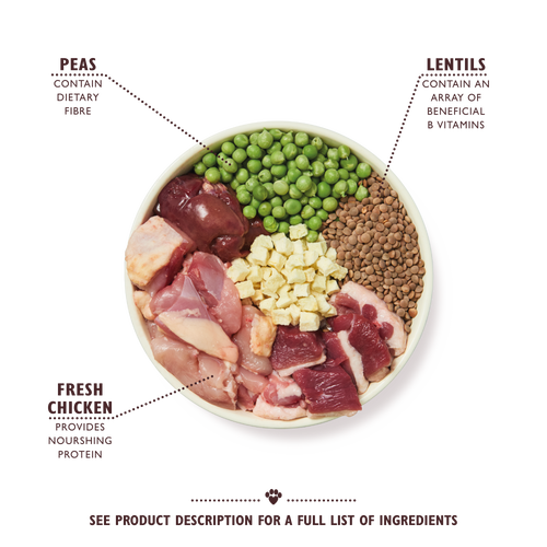 Chicken Duck Small Breed Dry Food for Dogs Lily s Kitchen