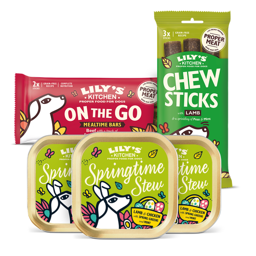 Exclusive Springtime Bundle for Dogs