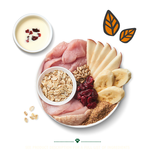 Lily's kitchen shop breakfast crunch