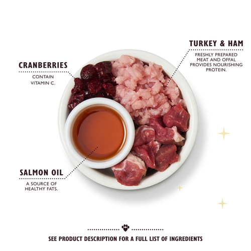 Christmas Turkey Feast with Ham & Cranberries (19 x 85g)