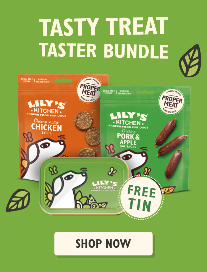 Dog Treats Bundle