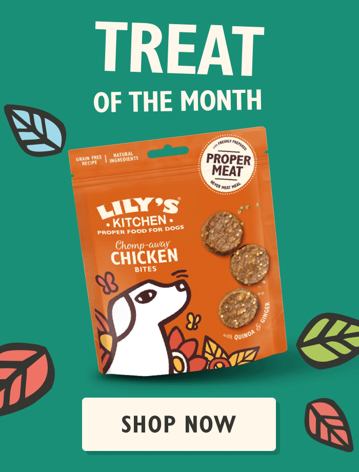 Treat of the Month