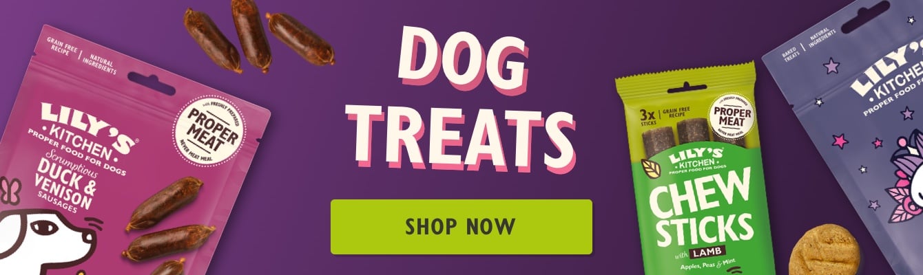 Dog Treats