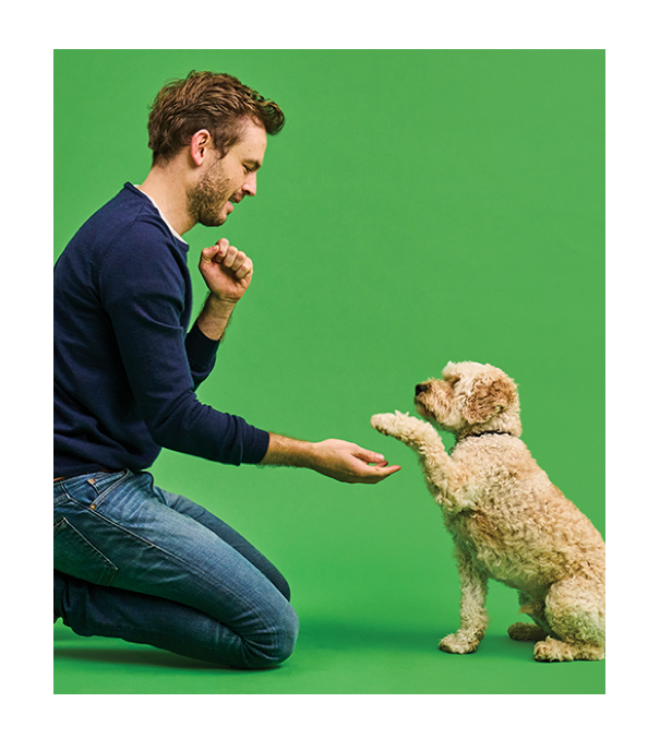 Rory the vet with a dog giving its paw