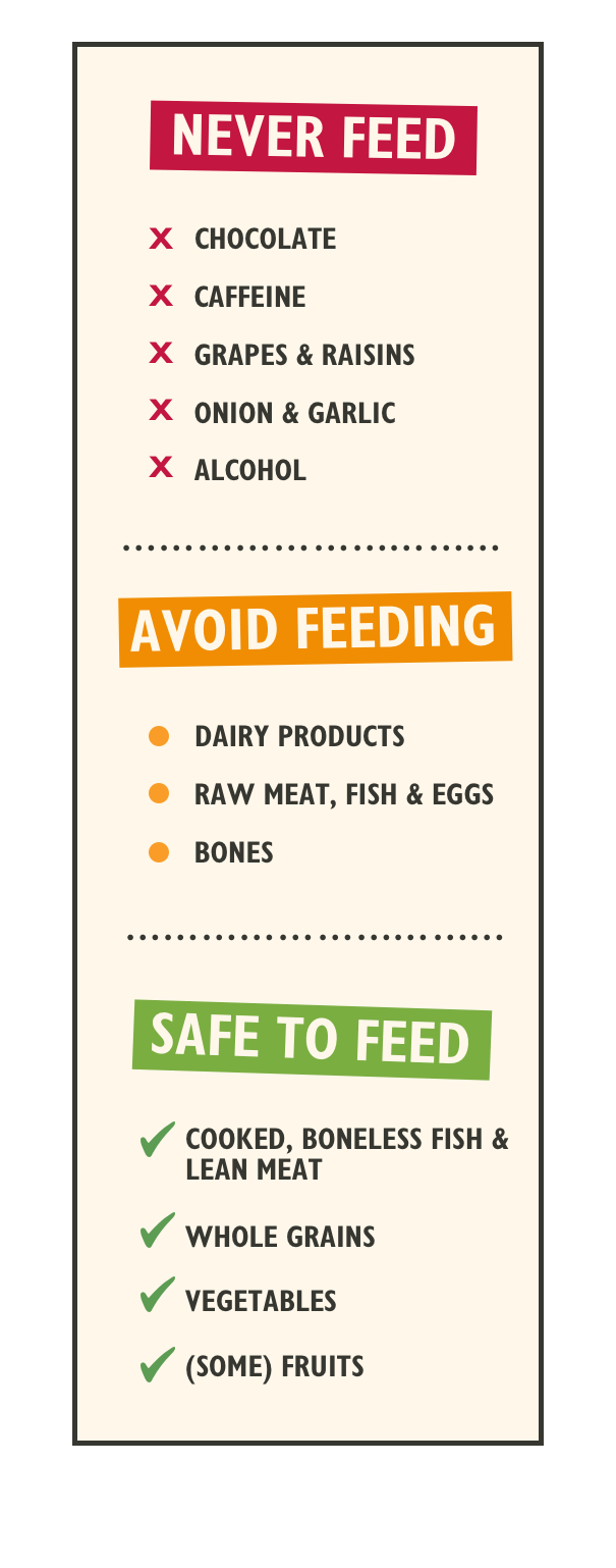 toxic cat food infographic