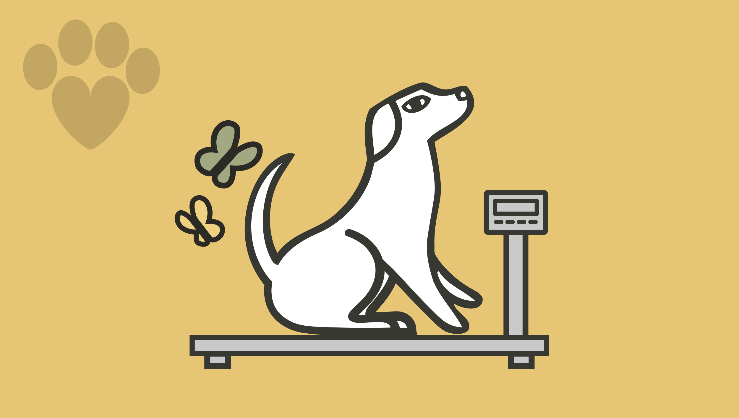 Overweight dogs image