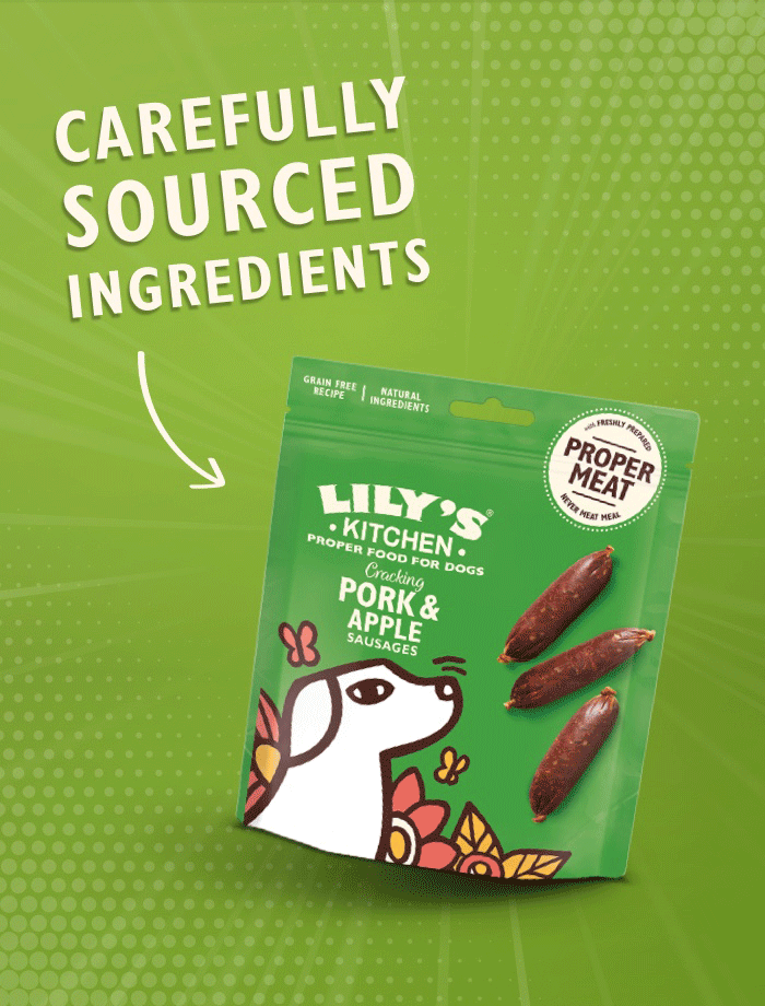 Power of Proper Food Proper Food for Pets