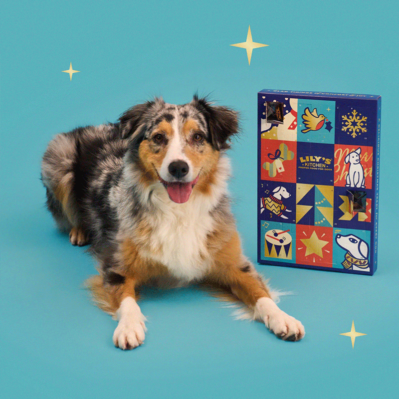 Advent Calendars for Pets