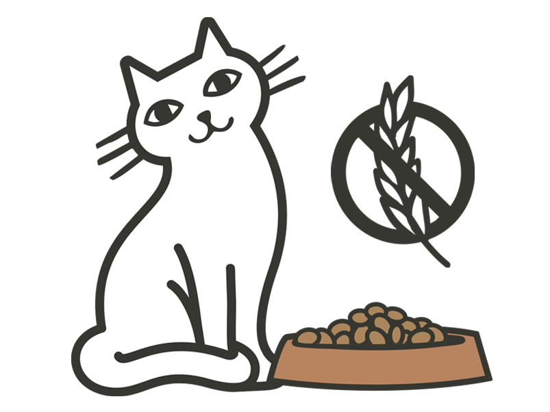 cat's guide to grain free diets