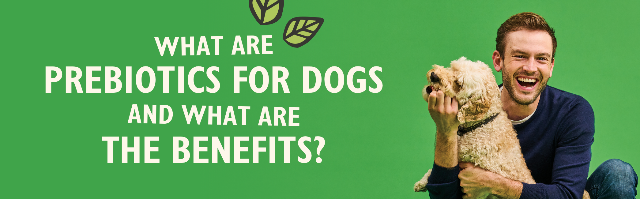 What Are Prebiotics For Dogs And What Are The Benefits with Rory the Vet