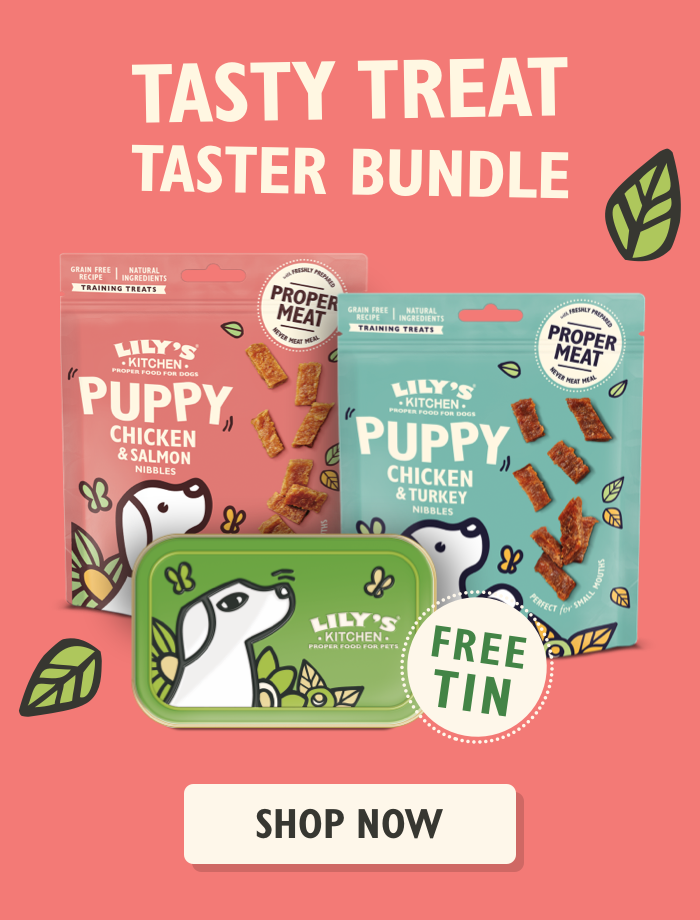 Puppy Treats Bundle