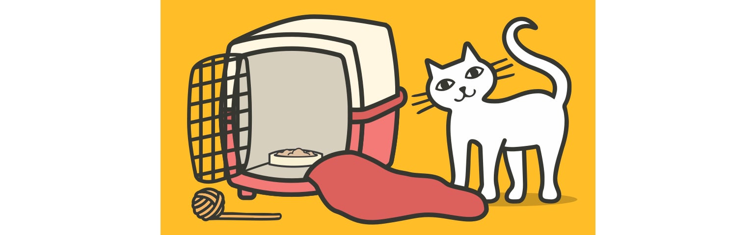 illustration of a cat carrier
