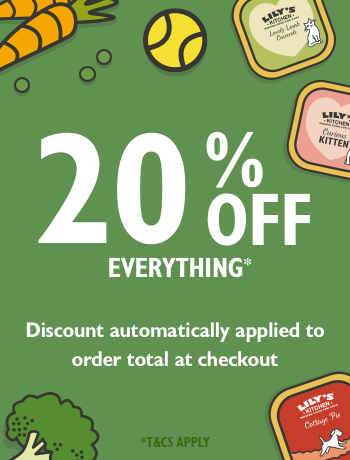 September Promotion September Promotion