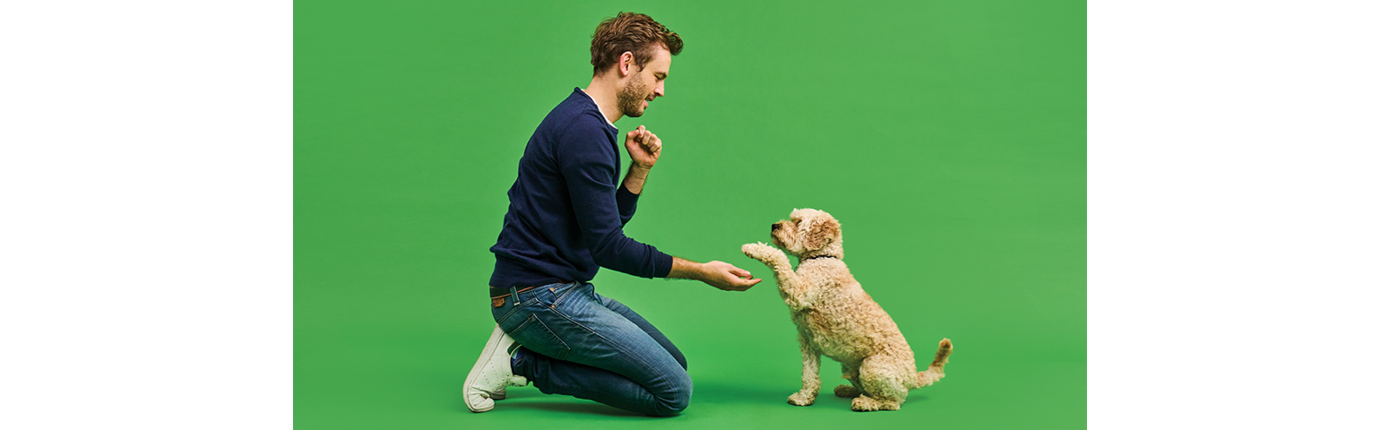 Rory the vet with a dog giving its paw