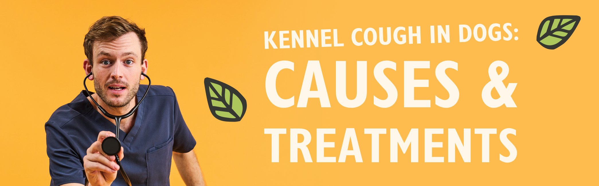 Kennel cough in dogs: causes and treatments with Rory the Vet