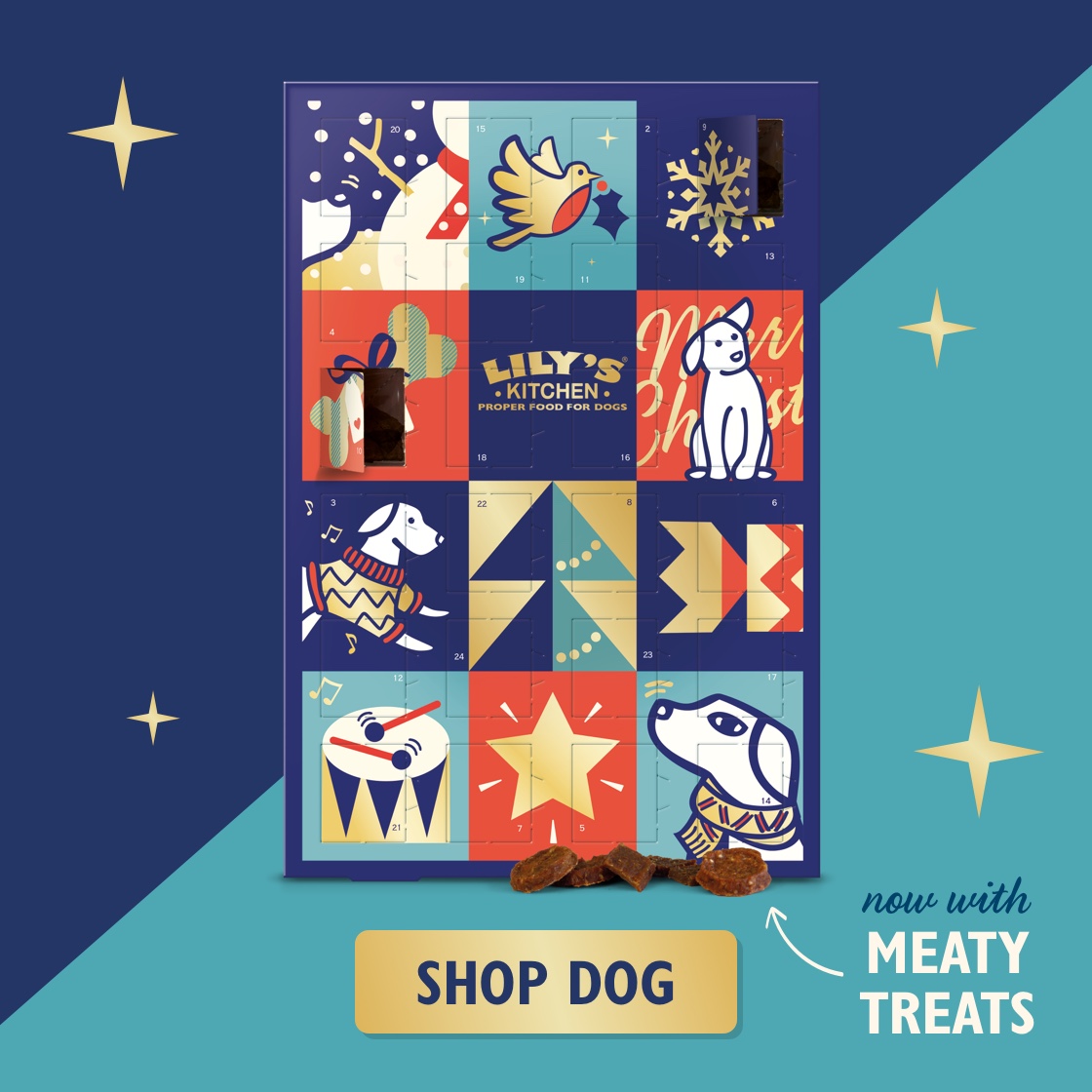 Advent Calendar for Dogs