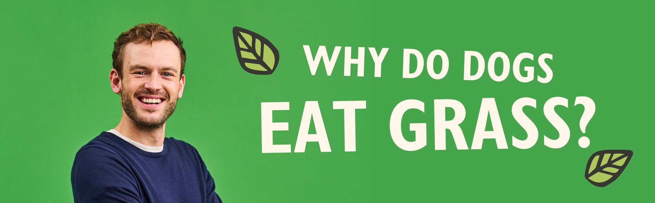 Why do dogs eat grass? With Rory the Vet