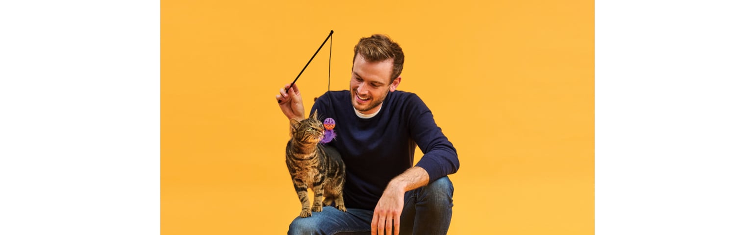 picture of Rory The Vet playing with a cat