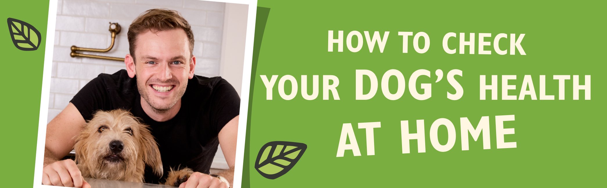 How to check your dog's health at home With Rory the Vet