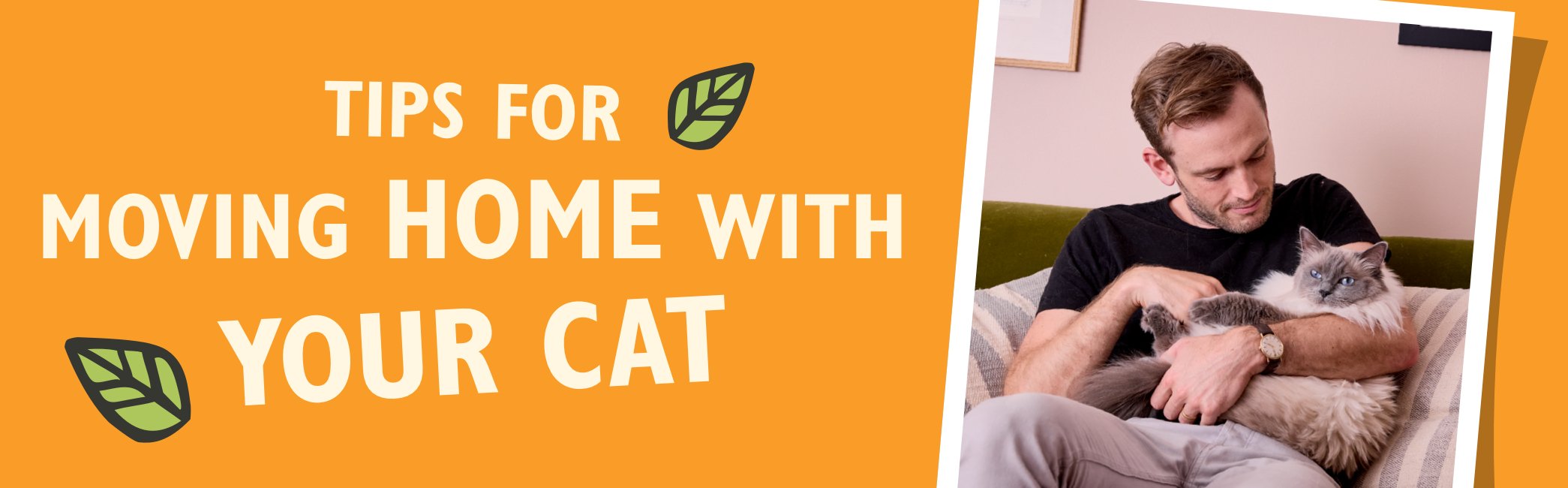 Tips for Moving Home with Your Cat With Rory the Vet