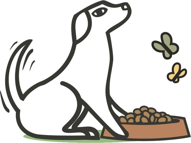 Dog Feeding Guide Health Advice Lily S Kitchen