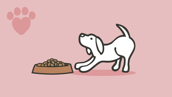 Feeding your puppy image