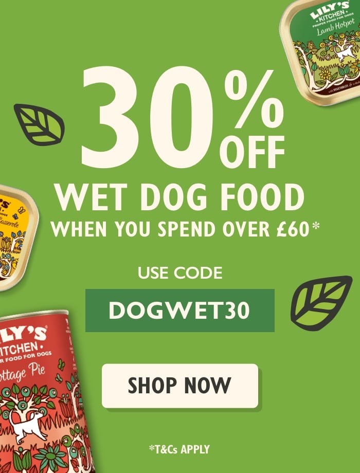 Wet Promo