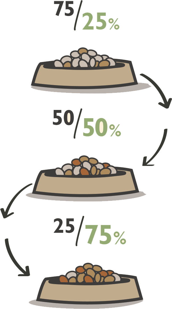 puppy food dietary changes