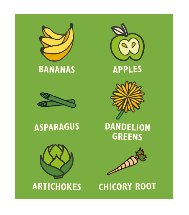 chart featuring foods including prebiotics