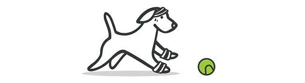 “Dog