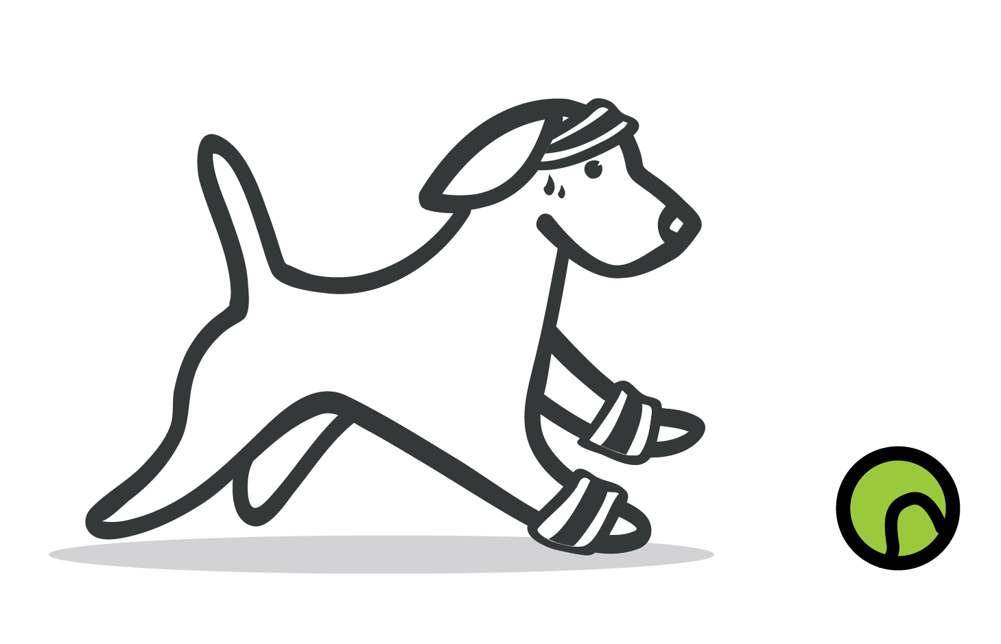 “Dog