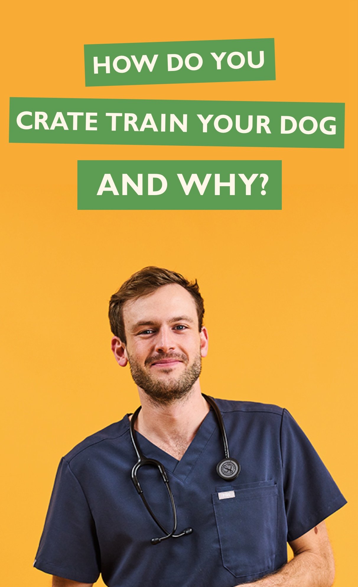 Crate training tips with Rory the Vet