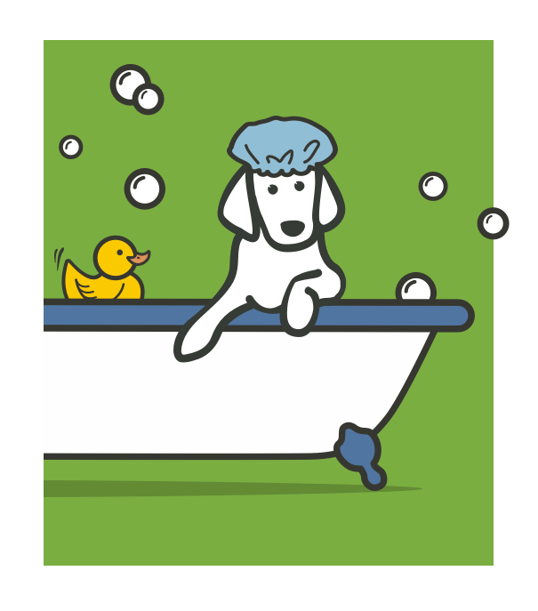 illustration of a bath in a bathtub