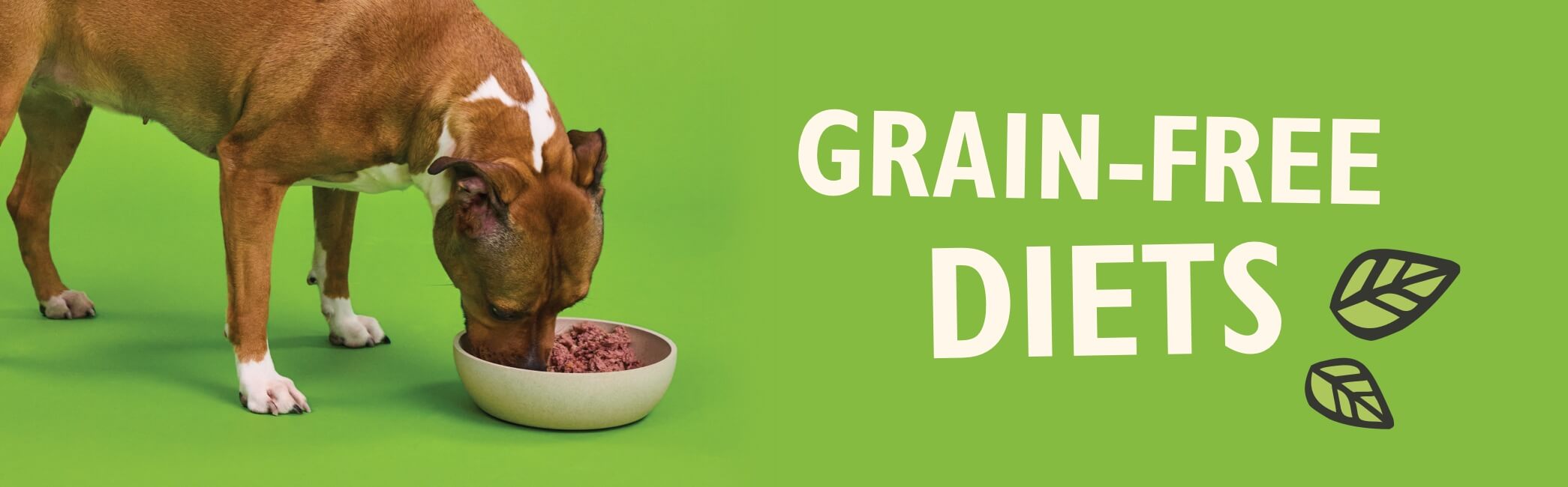 Grain-Free Diet Guide for Dogs