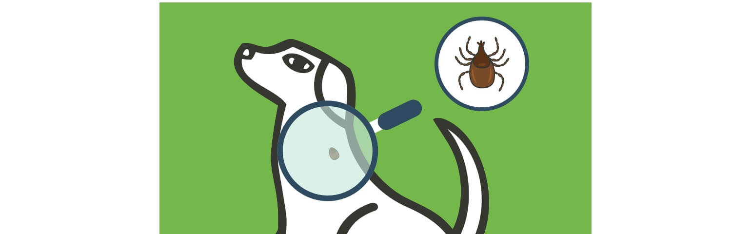 Illustration of dog with magnifying glass showing a tick on its back.