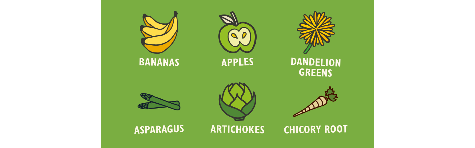 chart featuring foods including prebiotics