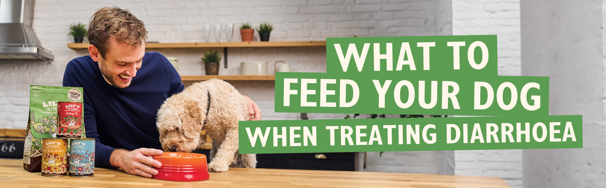 What To Feed Your Dog When Treating Diarrhoea with Rory the Vet
